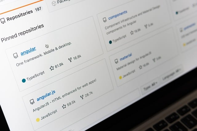 Git pour développeurs : versionning